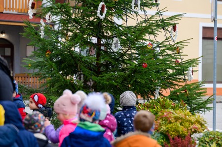 14 Okrasitev smreke v trškem jedru